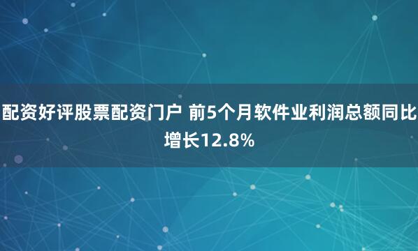 配资好评股票配资门户 前5个月软件业利润总额同比增长12.8%